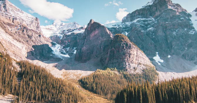 Tutoring Services: Math Support & Cognitive Learning Strategies