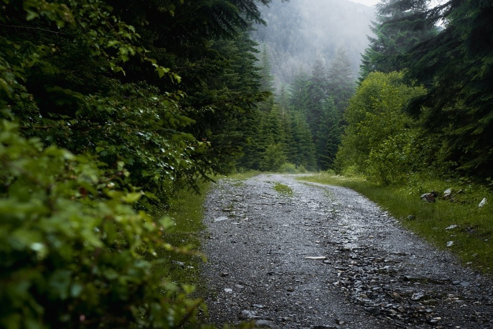Through the Rain: My Journey with Anxiety Before Becoming a Therapist