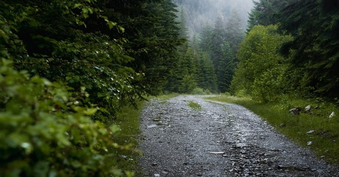 Through the Rain: My Journey with Anxiety Before Becoming a Therapist